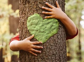 image d'un arbre enlacé par quelqu'un, un coeur en mousse est visible sur le tronc de l'arbre.