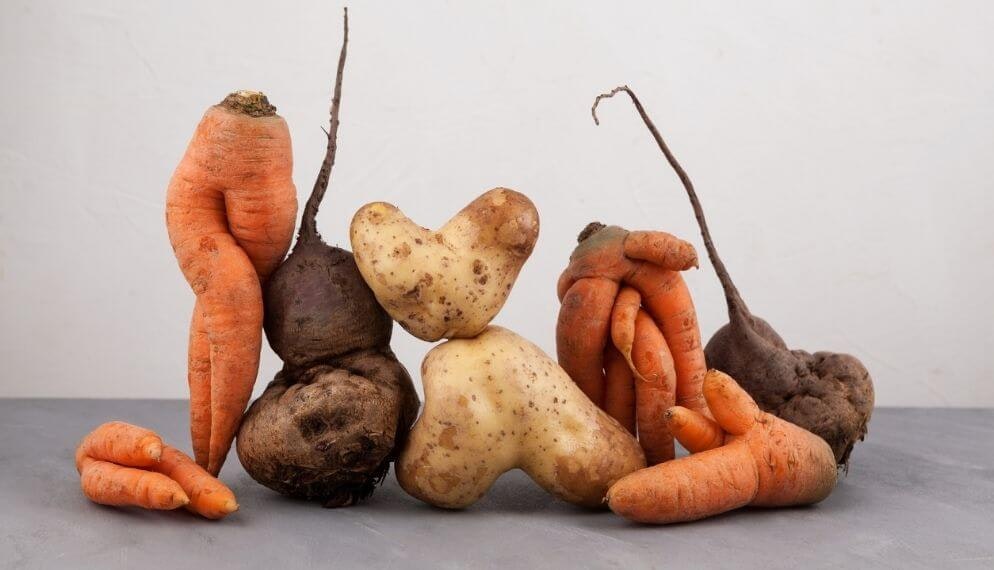 Hors Normes : la startup anti-gaspi qui sauve les fruits légumes « moches »
