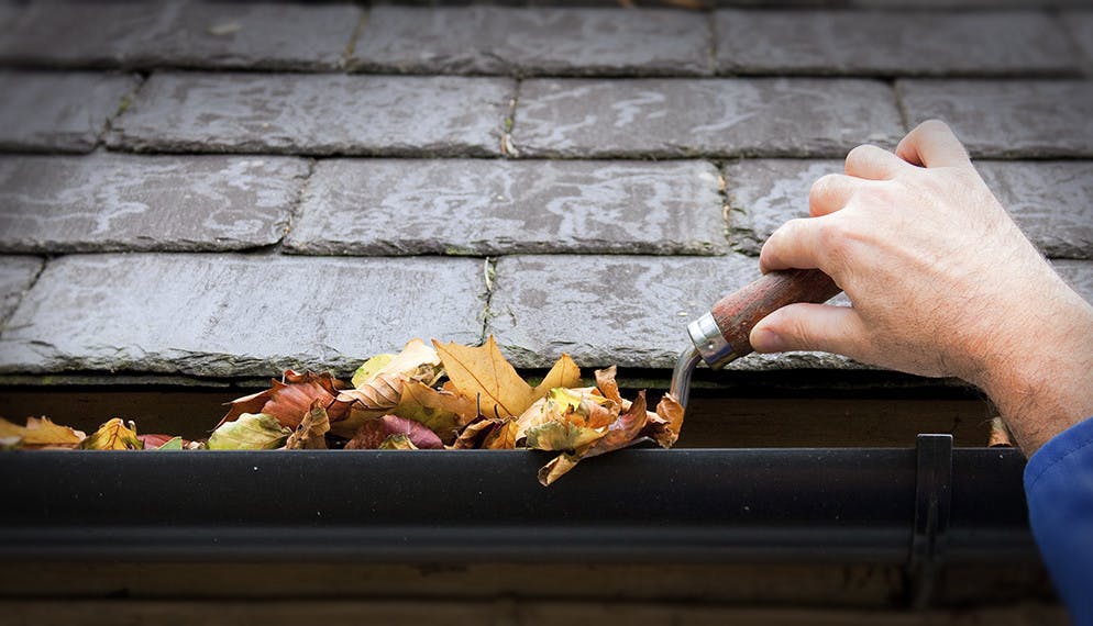 Comment préparer sa maison pour l'automne ?