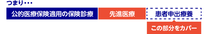 つまり・・・公的医療保険適用の保険診療。先進医療。患者申出療養（この部分をカバー）