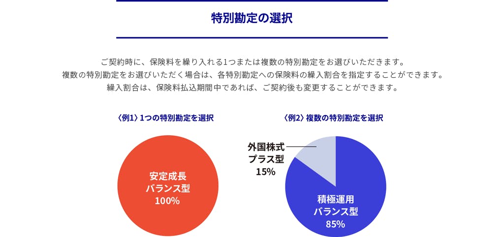 特別勘定の選択