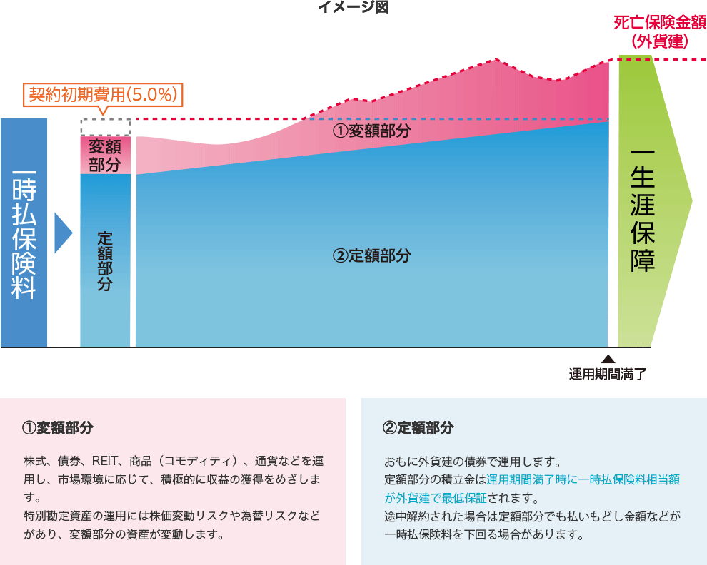 変額部分と定額部分の組み合わせで運用　イメージ図