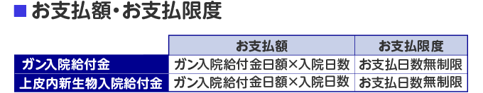 お支払額・お支払限度