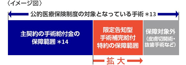 公的医療保険制度の対象となっている手術