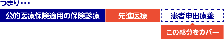 つまり・・・公的医療保険適用の保険診療。先進医療。患者申出療養（この部分をカバー）