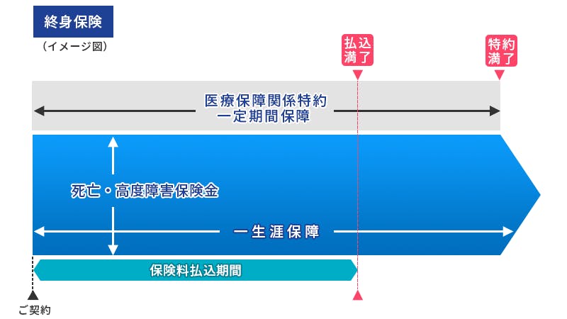 終身保険（イメージ図）