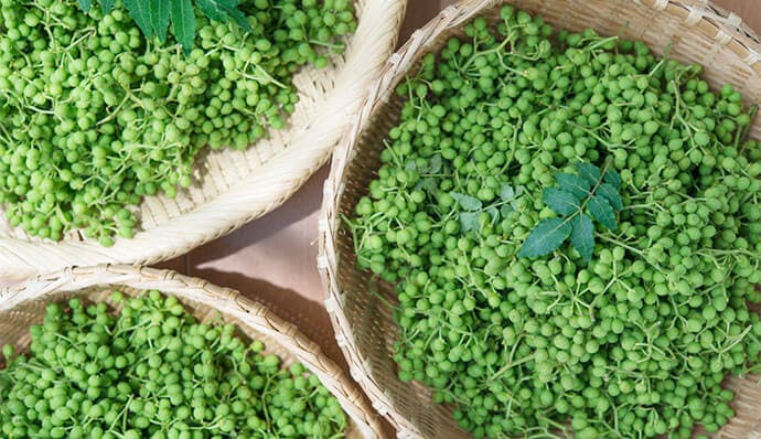 ただの雑草ではなかった 和ハーブ で健康的な生活を ただの雑草ではなかった 和ハーブ で健康的な生活を