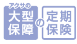 アクサの大型保障の定期保険