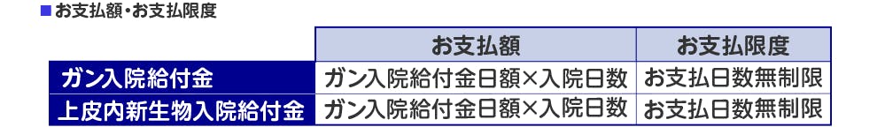 お支払額・お支払限度