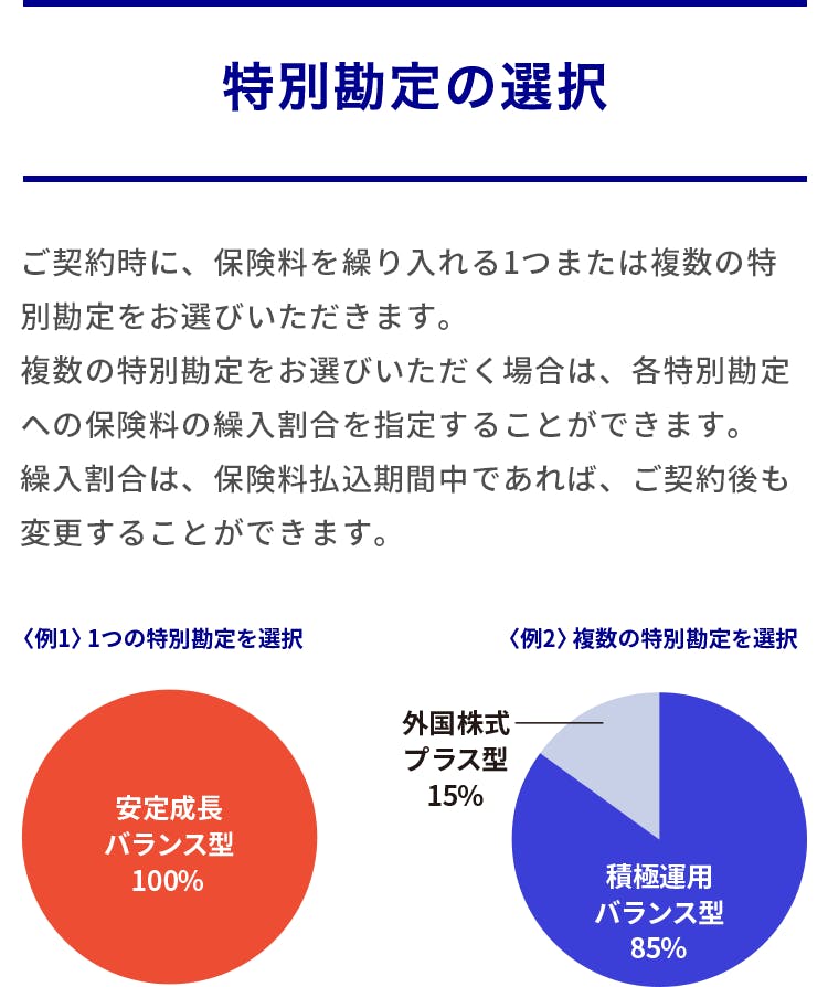 特別勘定の選択