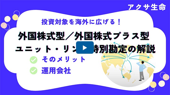 外国株式型/外国株式プラス型