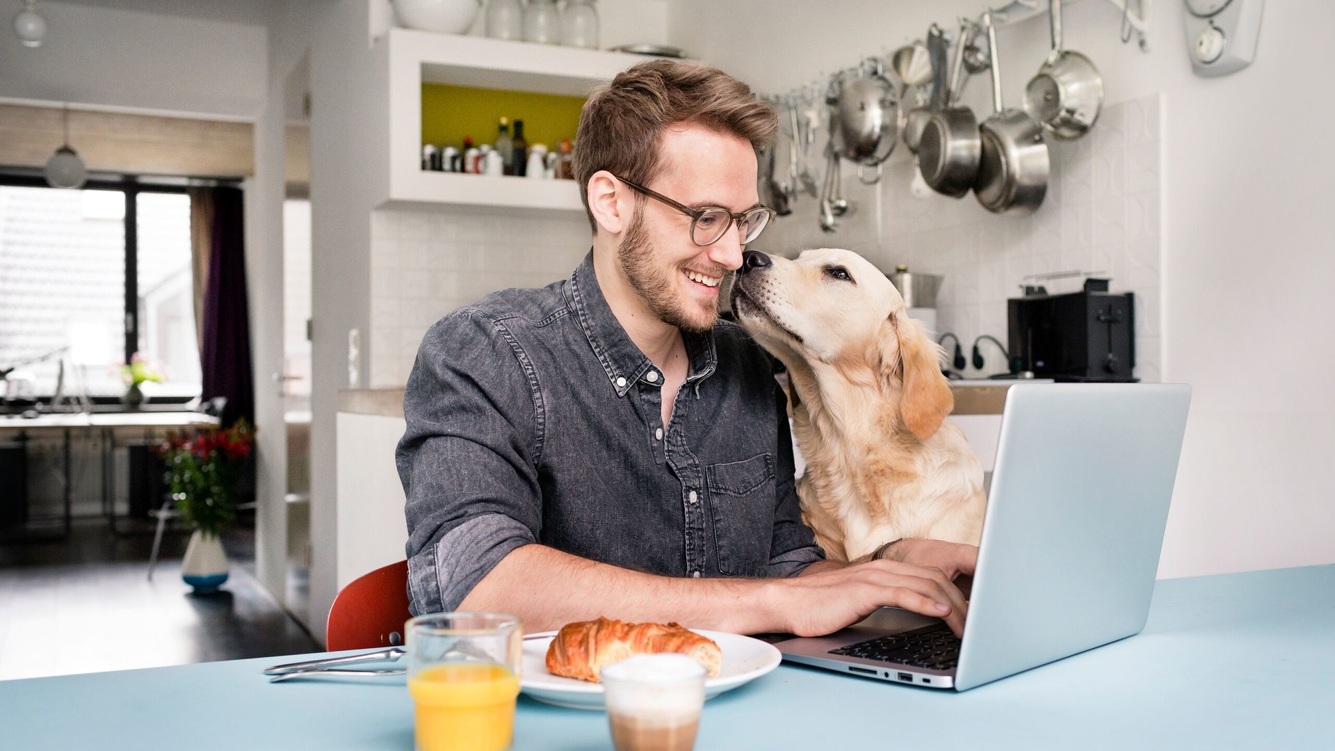 Axa Hundehaftpflichtversicherung Test  Bewertung 2021