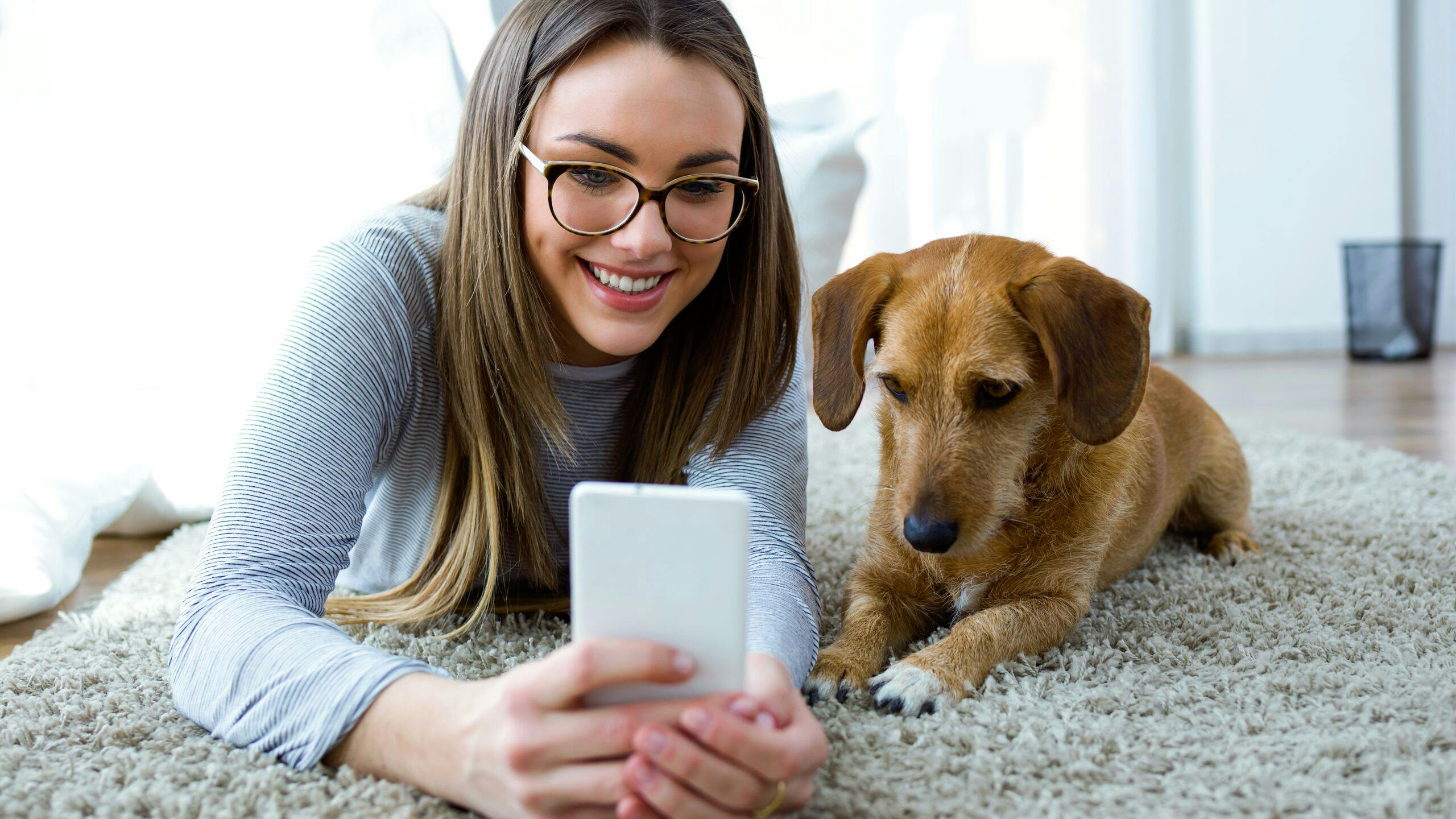 Axa luxembourg : fonctionnement assurance santé chien, pet insurance