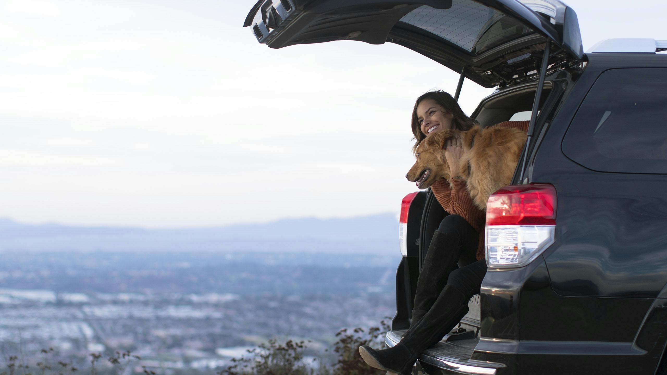AXA Assurances Luxembourg : voyager avec son chien en voiture
