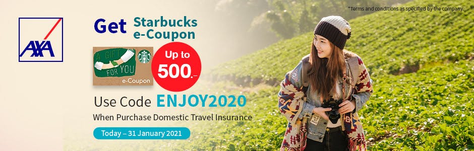 Every Domestic Travel Insurance Purchasing Ove&hellip; AXA
