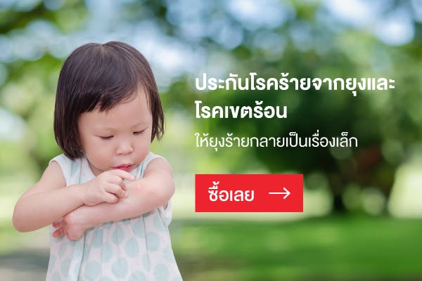 ประกันไข้เลือดออกออนไลน์
