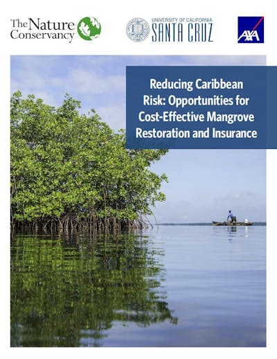 Reducing Caribbean risk: opportunities for cost-effective mangrove restoration and insurance