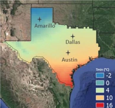 A Cold Snap In Texas... How Unexpected? | AXA