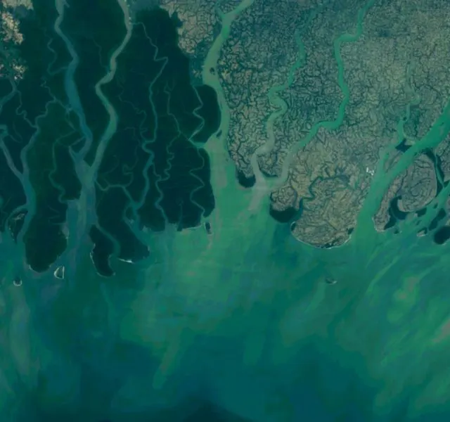 Pourquoi Le Delta Du Gange Est Vulnerable Au Changement Climatique