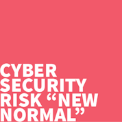 The “new normal” Cyber security risk