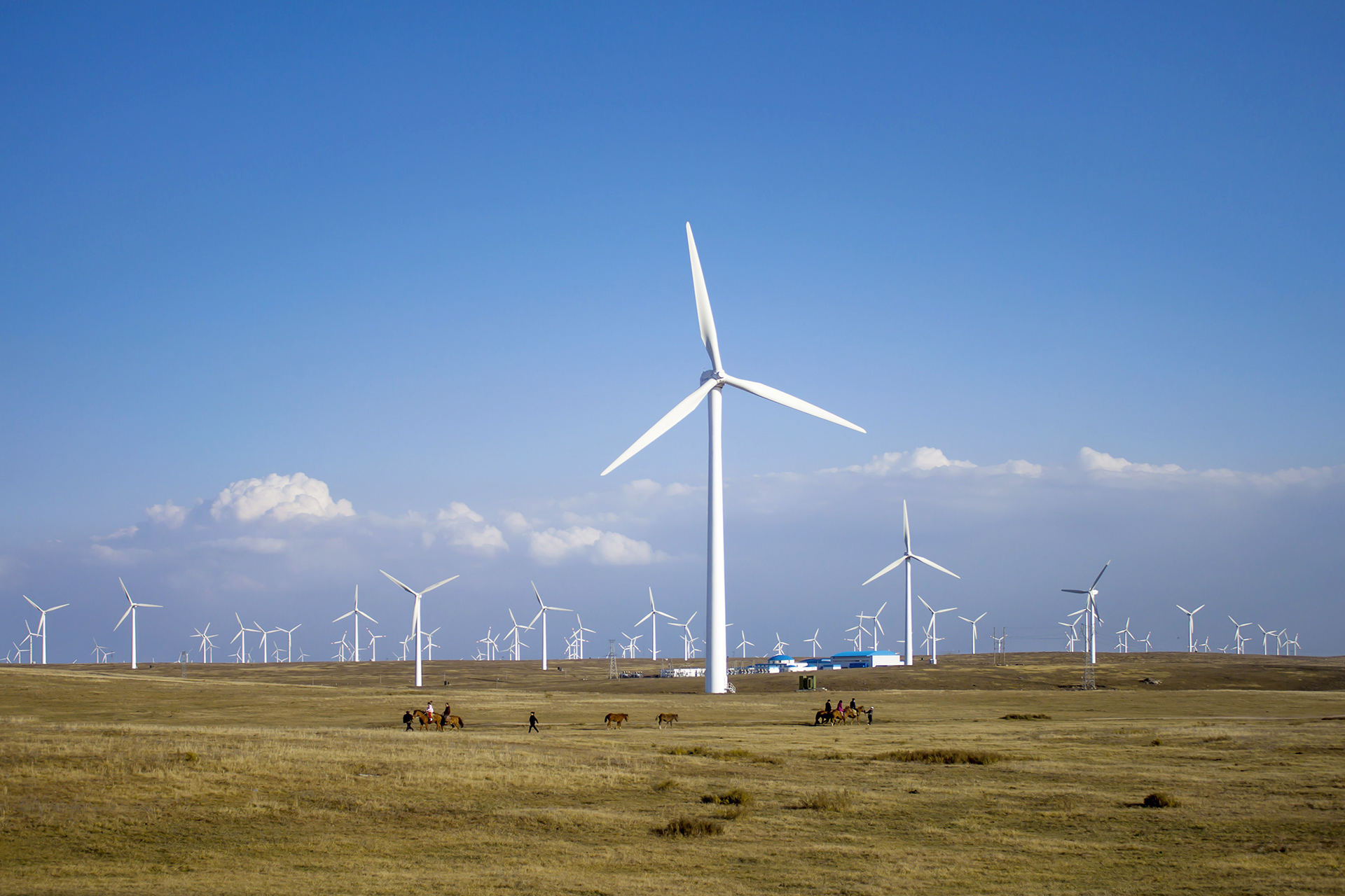 EDF Energies Nouvelles Lance La Construction D`un Parc éolien De