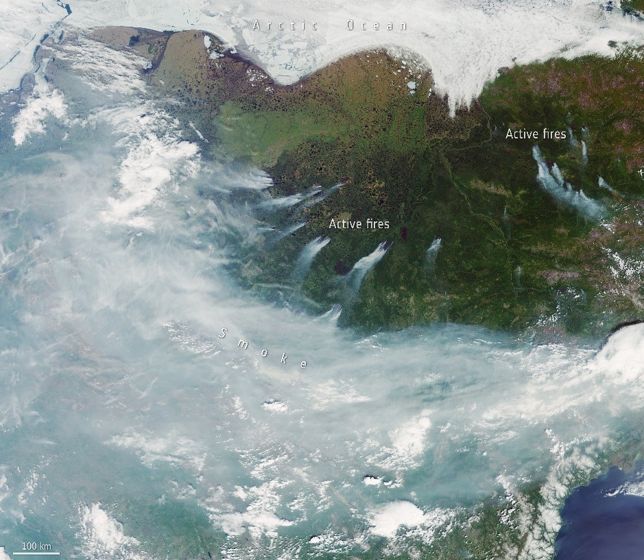 Why are the 'Zombie' fires in Siberia a ticking climate bomb