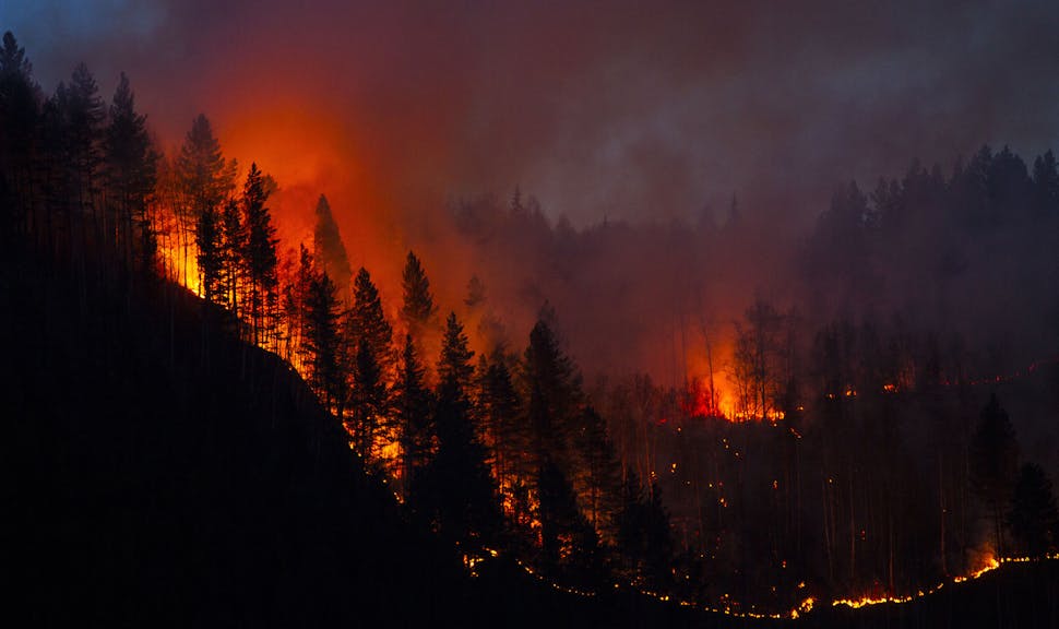 Wildfires and Climate Master Class